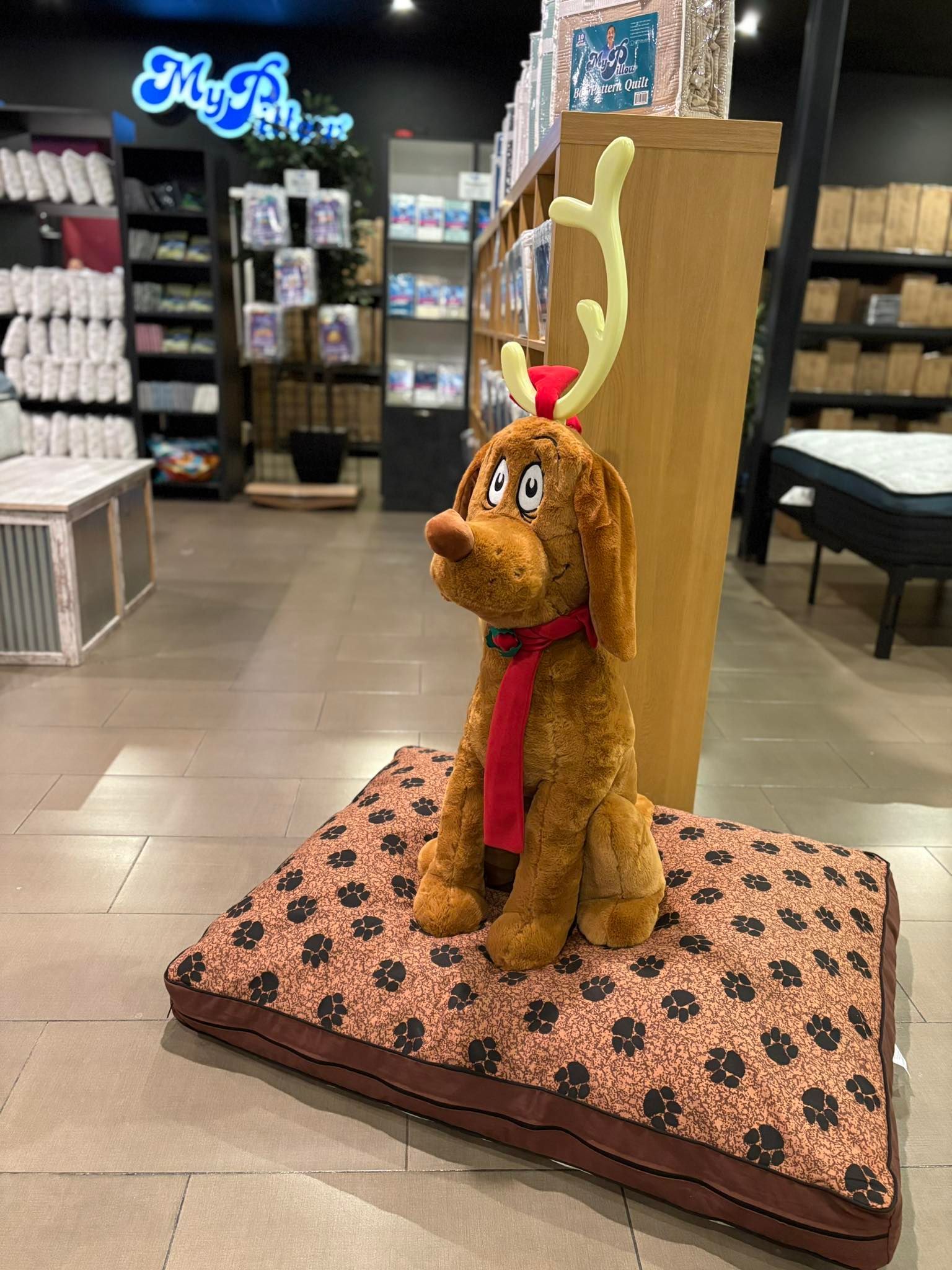 Pet Beds